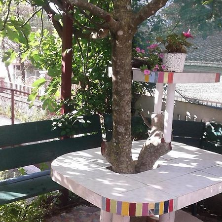 Eleni Apartamento Tivat Exterior foto